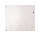 Granito Extreme White
