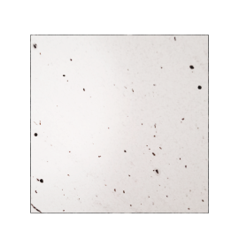 Granito Extreme White